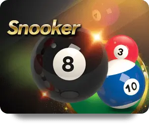 AnyConv.com__snooker