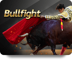 Image_BULLFIGHT.png